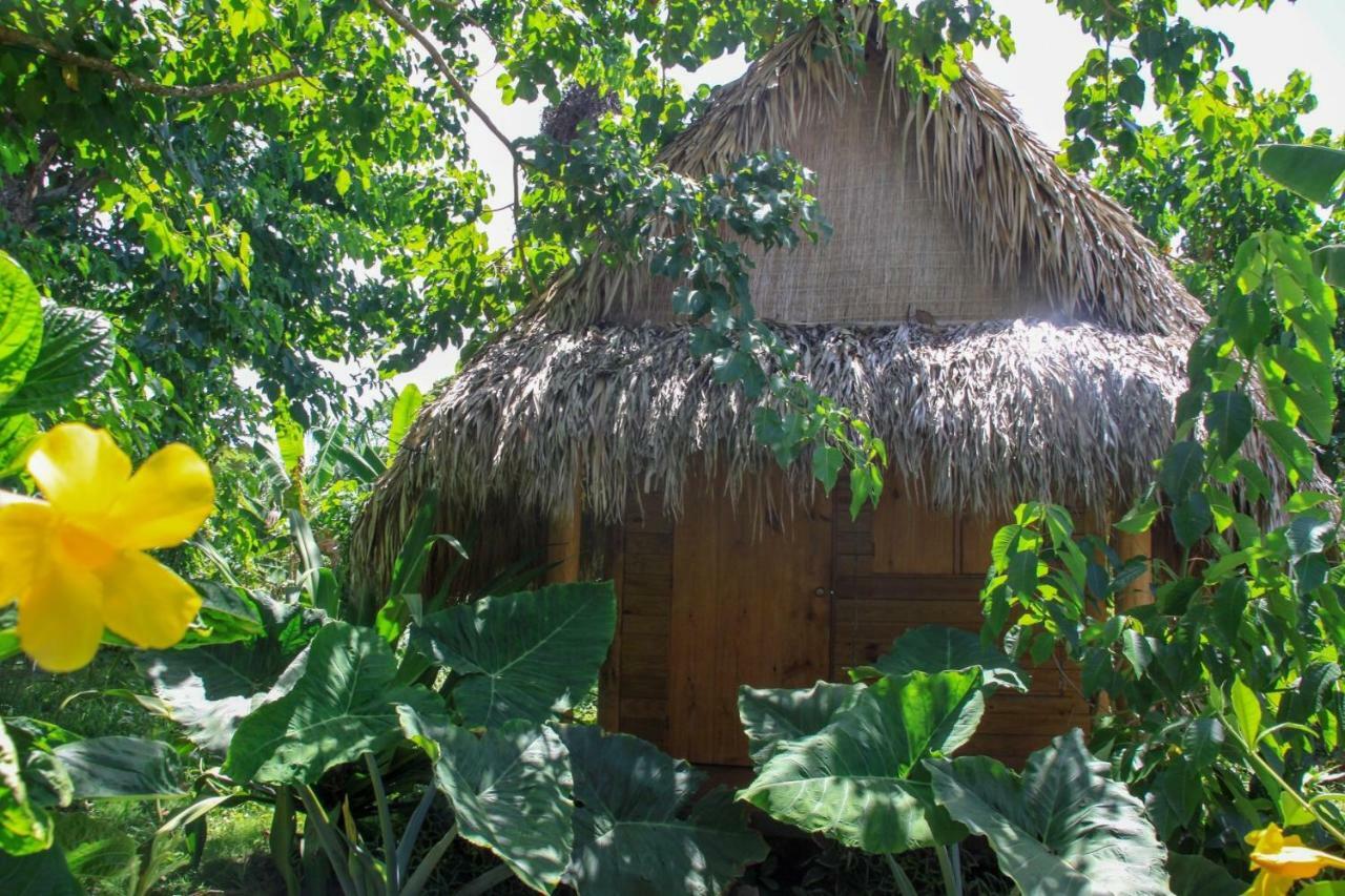 Samana Ecolodge El Limon Exterior photo